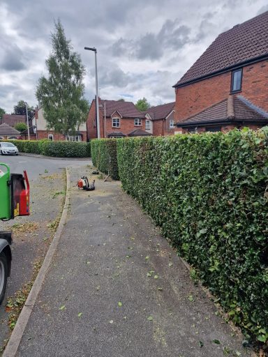 SW Tree Services in Staffordshire and Cheshire Conifer reduction and shaping, hedge cutting, hedge maintenance, and hedge planting. Tree felling, dead wooding, pollarding, tree pruning.