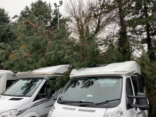 SW Tree Services in Staffordshire and Cheshire Emergency tree work, storm damage response, site clearance, tree felling, dead wooding, pollarding, pruning, crown thinning, reduction.