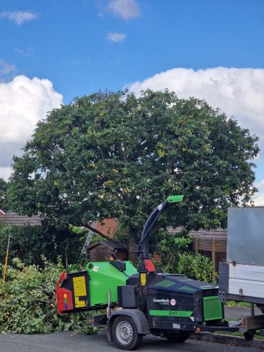 SW Tree Services in Staffordshire and Cheshire Tree felling, dead wooding, pollarding, tree pruning, crown thinning/reduction, canopy lifting, conifer reduction, shaping and planting.