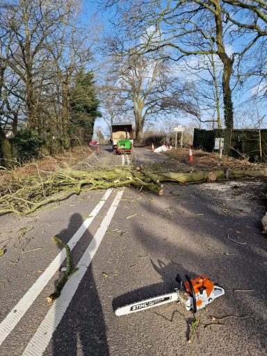 SW Tree Services in Staffordshire and Cheshire Emergency tree work, storm damage response, site clearance, tree felling, dead wooding, pollarding, pruning, crown thinning, reduction.