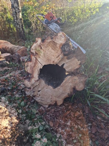 SW Tree Services in Staffordshire and Cheshire Site clearance and land preparation, emergency tree work and storm damage response.