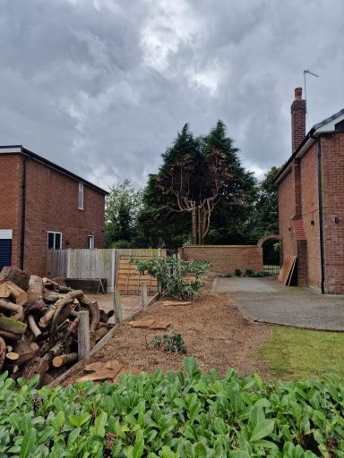 SW Tree Services in Staffordshire and Cheshire Hedge cutting, hedge maintenance, hedge planting, conifer reduction and shaping. Tree felling, dead wooding and pollarding.